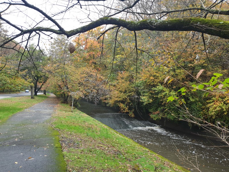 Second River