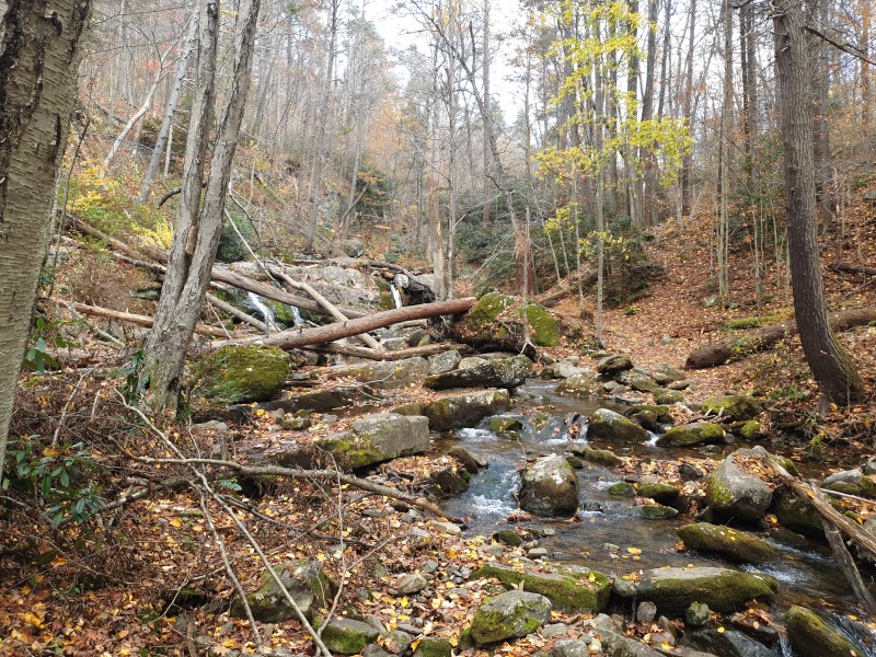 Dunnfield Creek