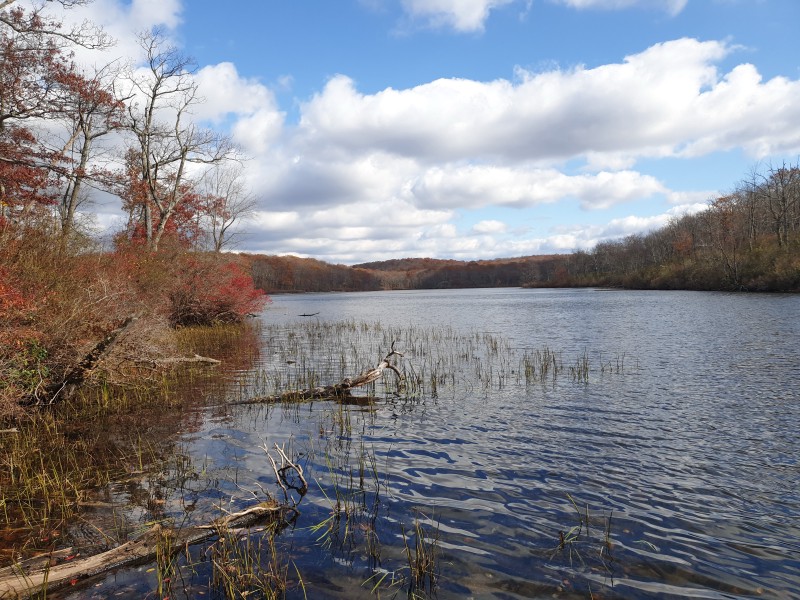 Sunfish Pond
