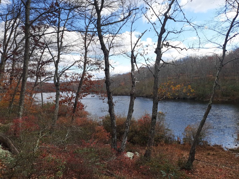 Sunfish Pond
