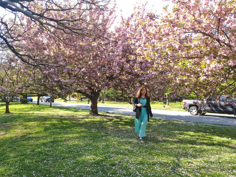 /posts/2024/04/26/cherry-blossom/img/20240426_165233_2.jpg