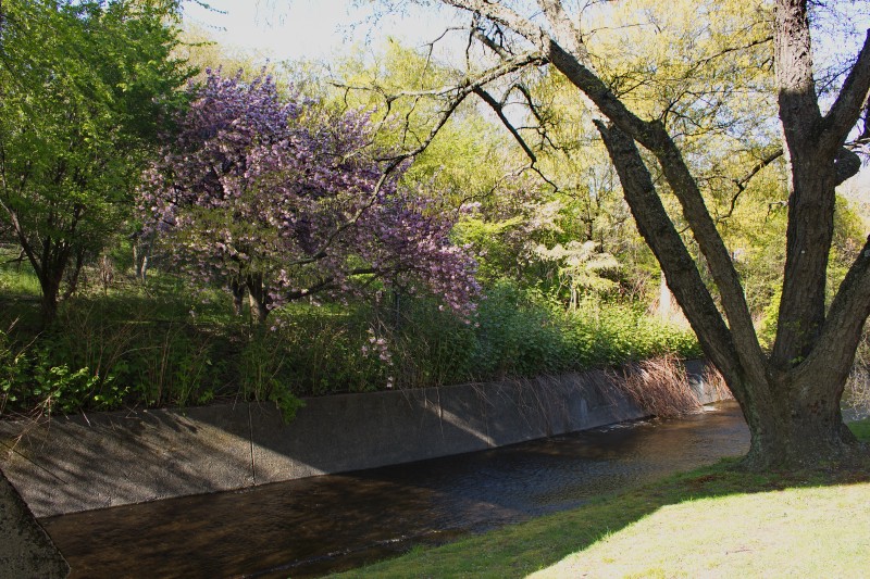 Река Second River