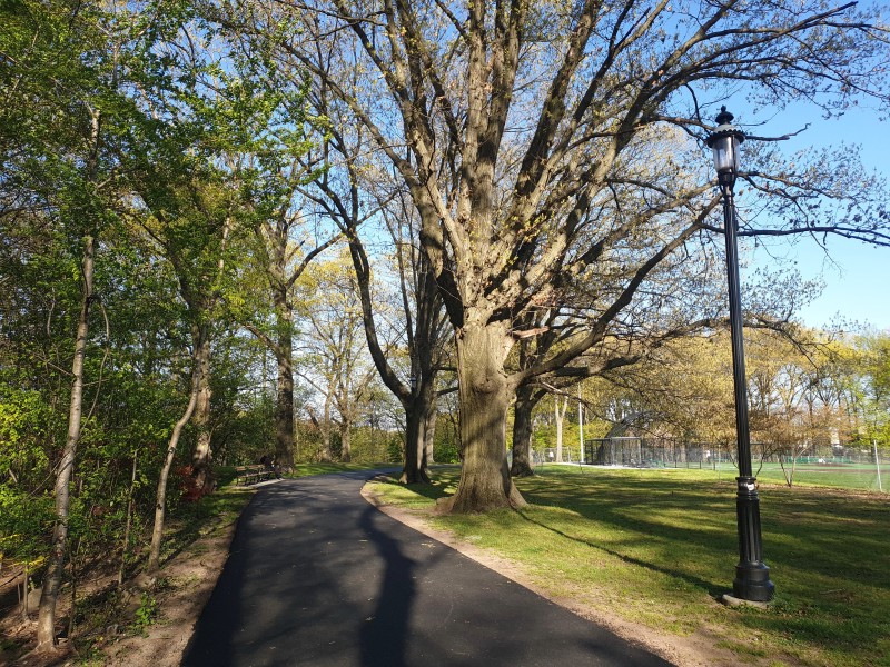 /posts/2024/04/26/cherry-blossom/img/20240426_174225_2.jpg