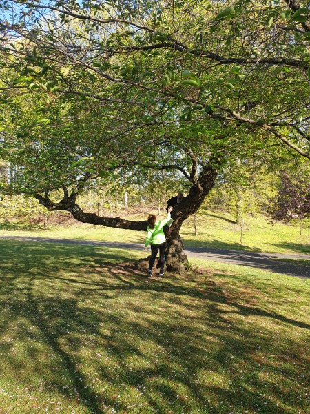 /posts/2024/04/26/cherry-blossom/img/20240426_175849_2.jpg