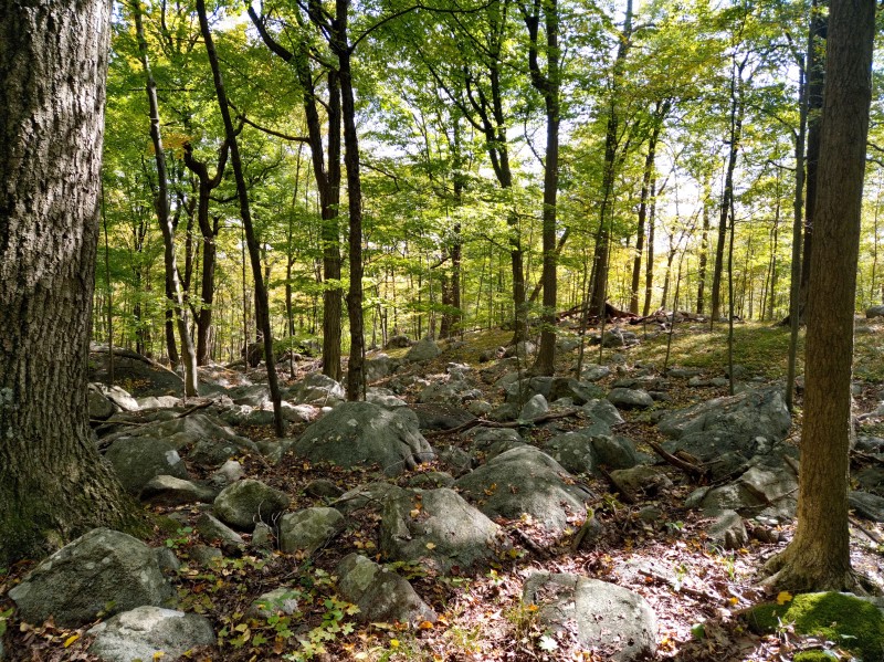 /posts/2024/10/07/harriman-state-park-photos/img/20241007_125452_1.jpg