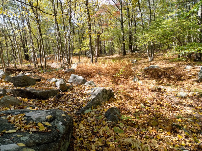 /posts/2024/10/07/harriman-state-park-photos/img/20241007_131140_1.jpg