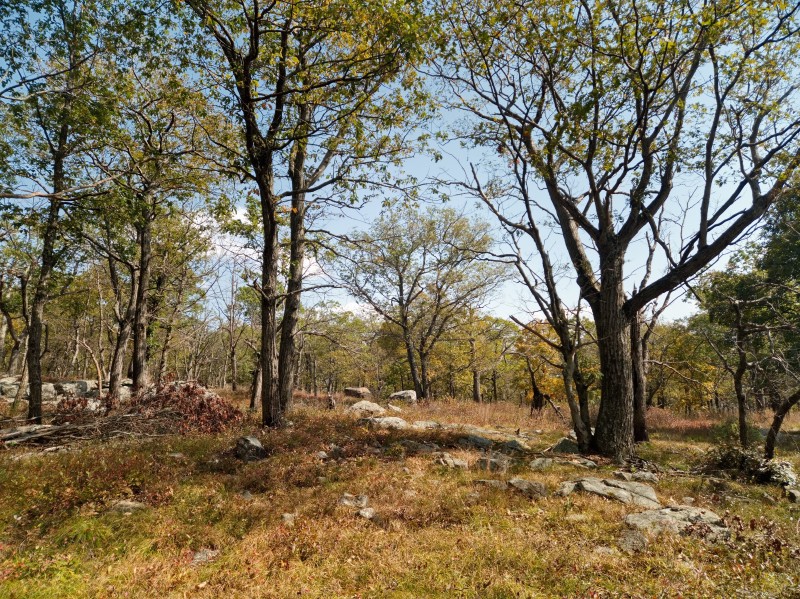 /posts/2024/10/07/harriman-state-park-photos/img/20241007_134339_1.jpg