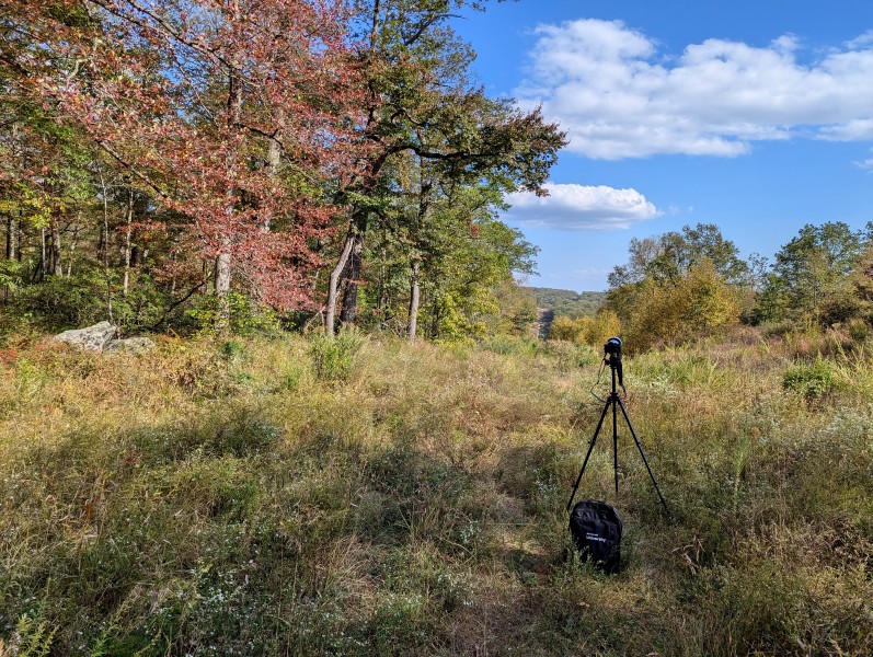 /posts/2024/10/07/harriman-state-park-photos/img/20241007_144843_pxl.jpg