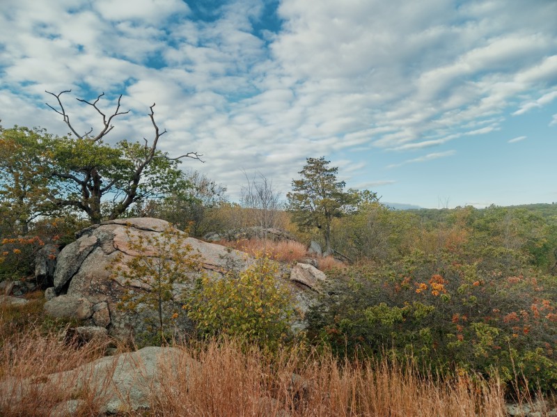 /posts/2024/10/07/harriman-state-park-photos/img/20241007_164755_1.jpg