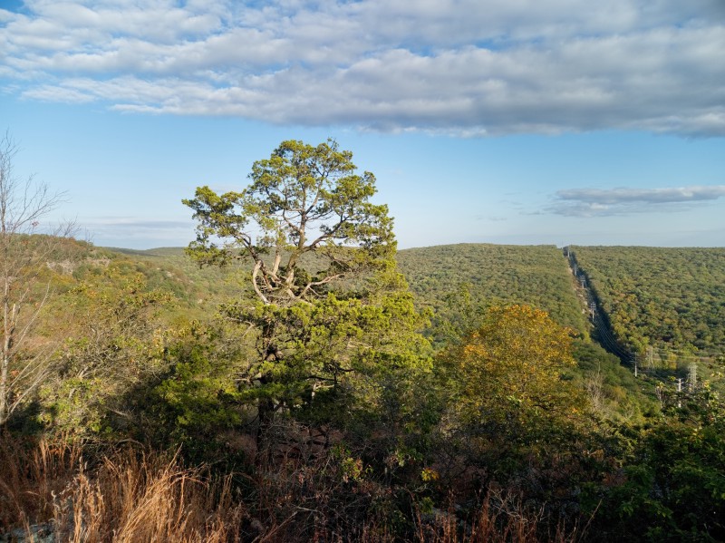 /posts/2024/10/07/harriman-state-park-photos/img/20241007_170206_1.jpg