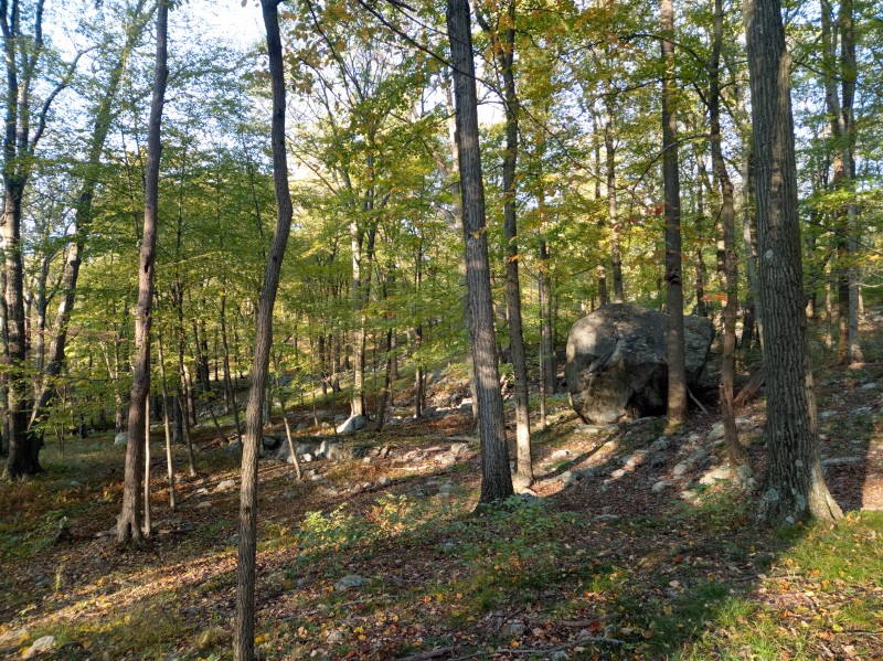 /posts/2024/10/07/harriman-state-park-photos/img/20241007_171809_1.jpg