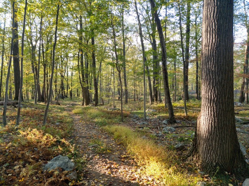 /posts/2024/10/07/harriman-state-park-photos/img/20241007_171917_1.jpg