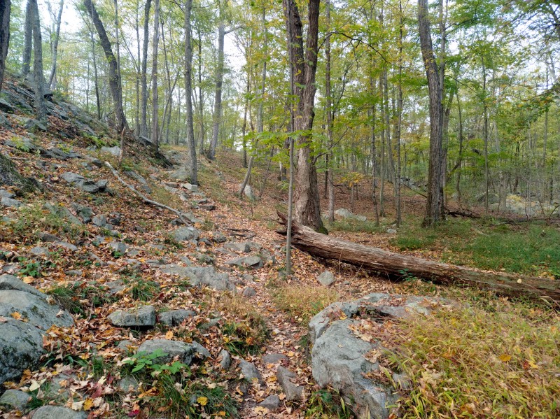/posts/2024/10/07/harriman-state-park-photos/img/20241007_174209_1.jpg