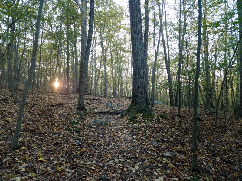 /posts/2024/10/07/harriman-state-park-photos/img/20241007_175137_1.jpg