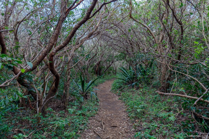 Rincón de la Vieja (asenic.ru)