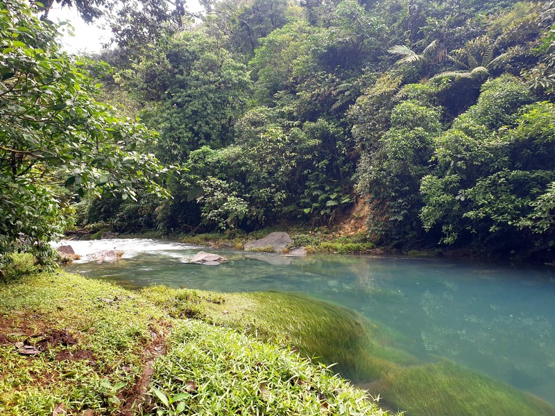 Река Rio Celeste