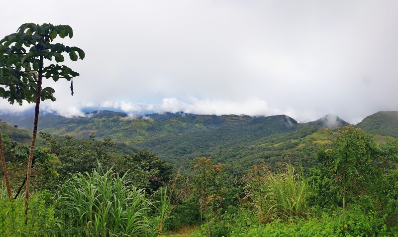 /posts/2025/01/08/costa-rica-day04/img/20250108_125746-pan.jpg