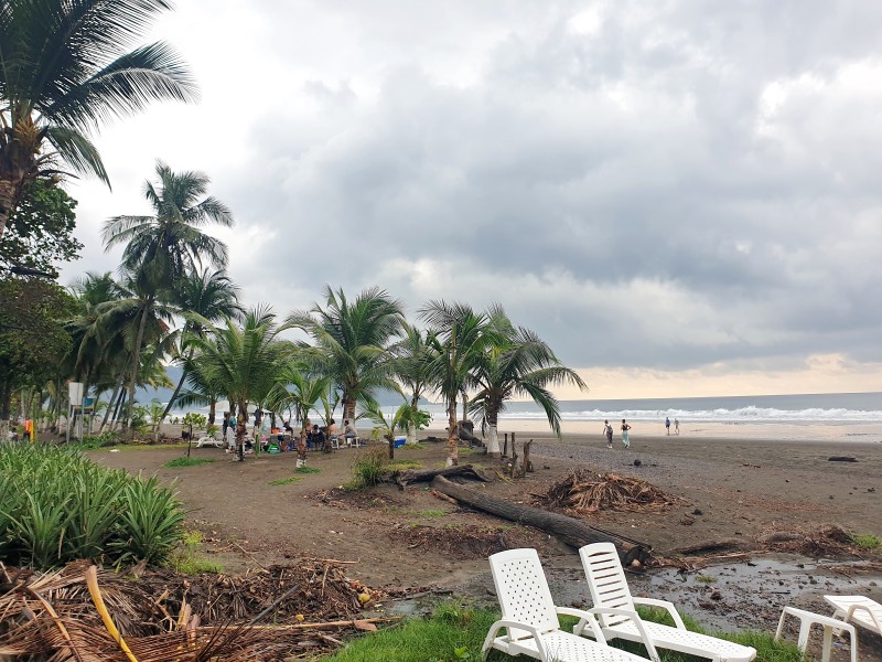 /posts/2025/01/08/costa-rica-day04/img/20250108_164148.jpg
