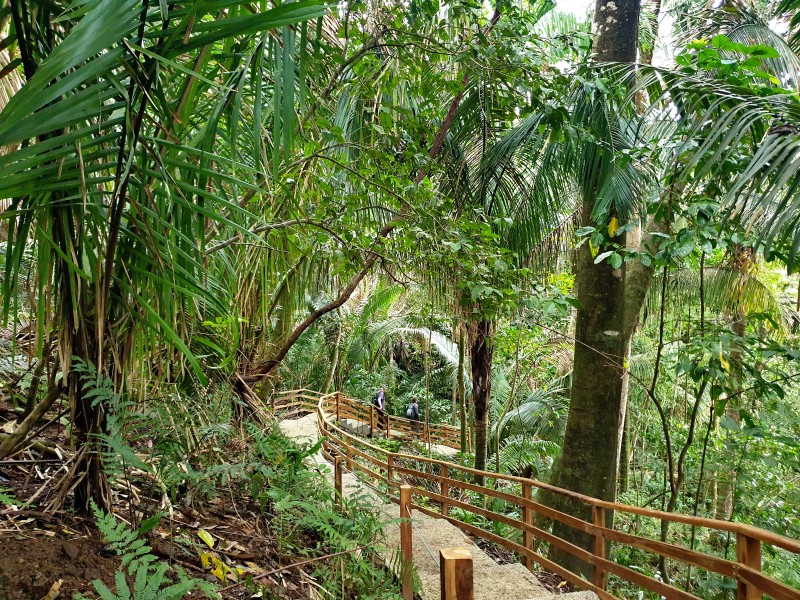 /posts/2025/01/09/costa-rica-day05/img/20250109_131711.jpg