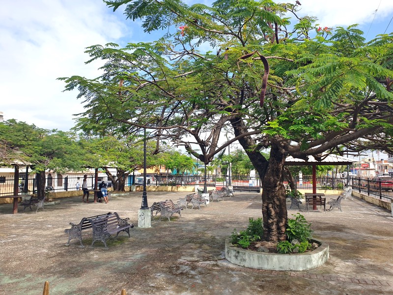 /posts/2025/01/20/dominican-republic-day10/img/20250120_120048.jpg