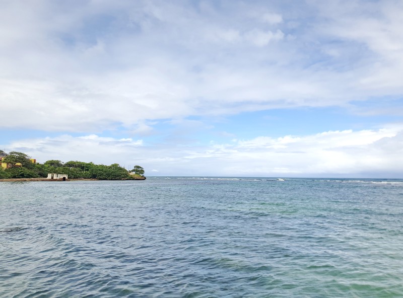 /posts/2025/01/20/dominican-republic-day10/img/20250120_125448_1.jpg