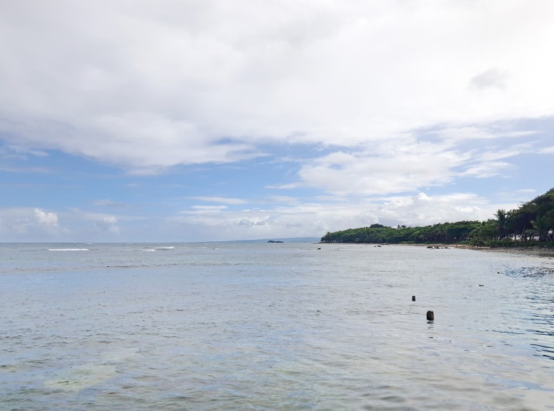 /posts/2025/01/20/dominican-republic-day10/img/20250120_125521_1.jpg