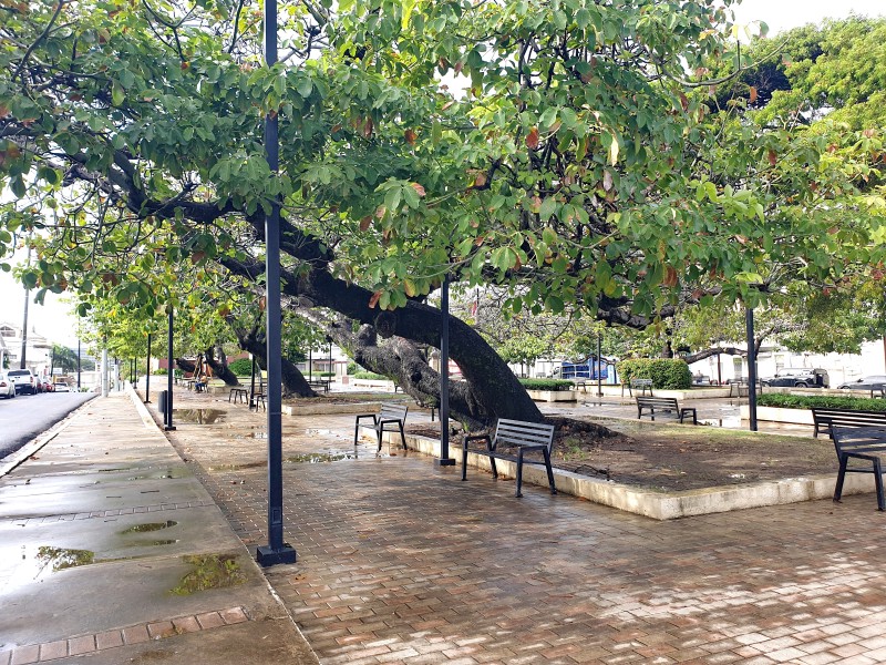 Gregorio Luperón Park