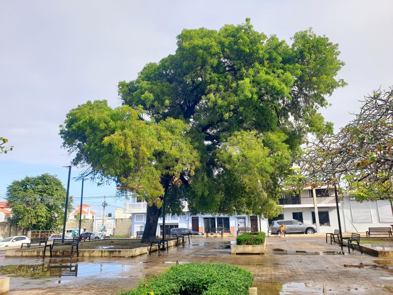 Gregorio Luperón Park