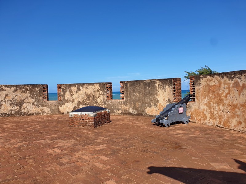 /posts/2025/01/21/dominican-republic-day11/img/20250121_121907.jpg