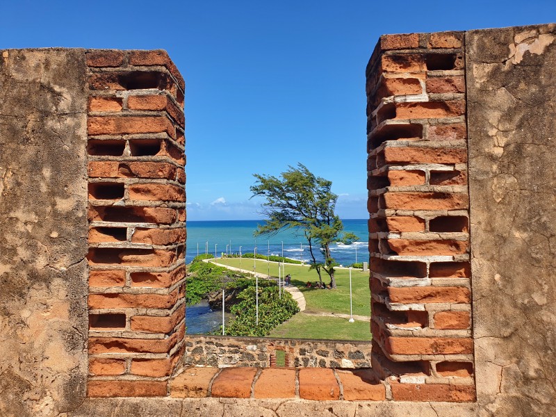 /posts/2025/01/21/dominican-republic-day11/img/20250121_121946.jpg