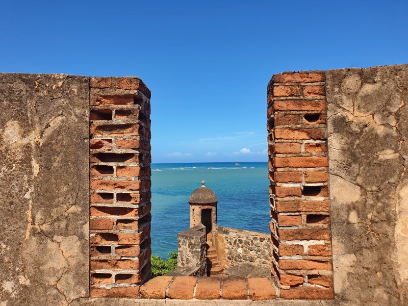 /posts/2025/01/21/dominican-republic-day11/img/20250121_122005.jpg