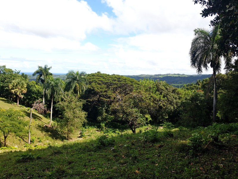 /posts/2025/01/23/dominican-republic-day13/img/20250123_114716_1.jpg
