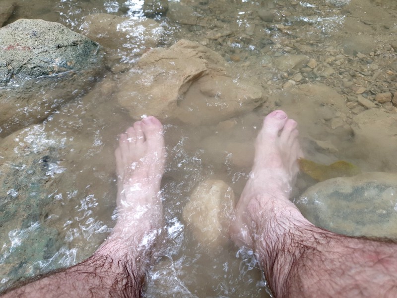 Ноги