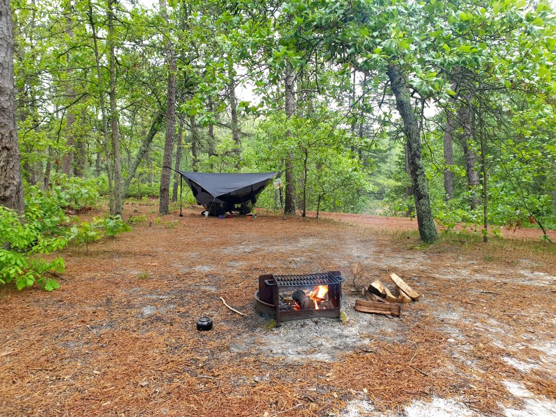 Wharton State Forest (день 2)
