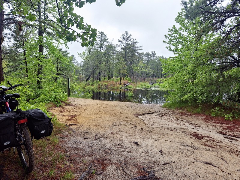 Wharton State Forest (день 3)