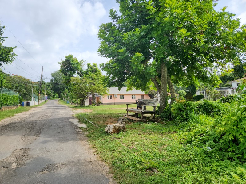 Павлин на лавочке