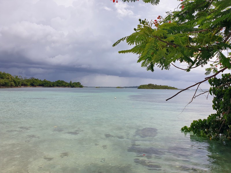 Дождь в Негриле