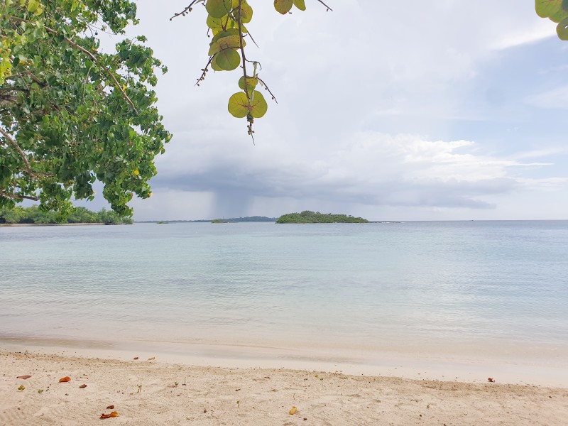 Дождь в Негриле