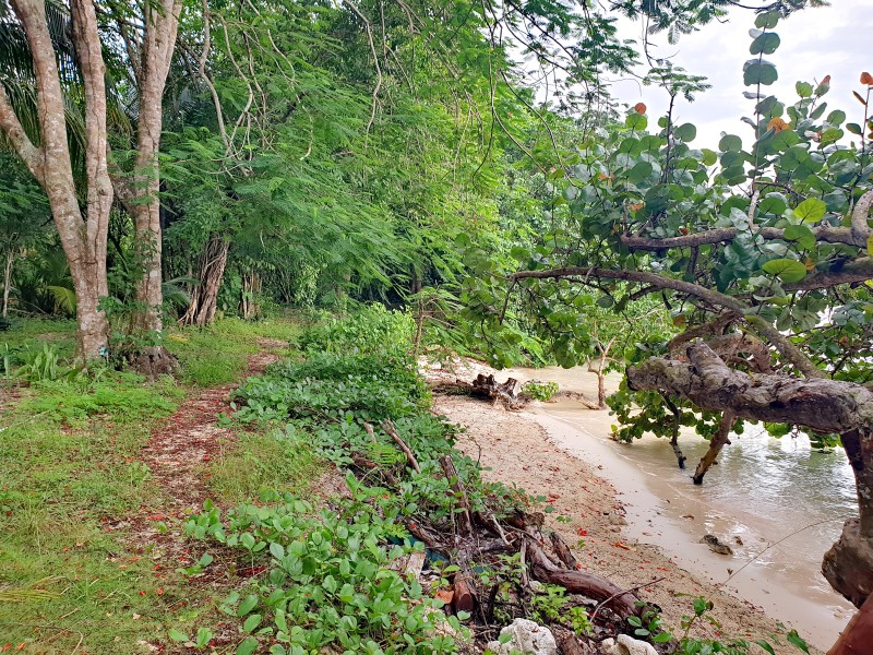 Вдоль берега бухты