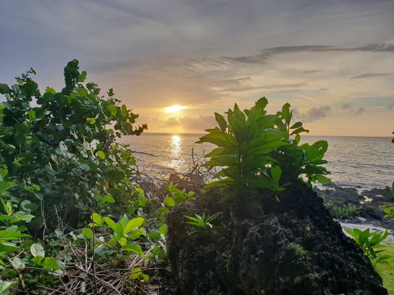 Вид на океан