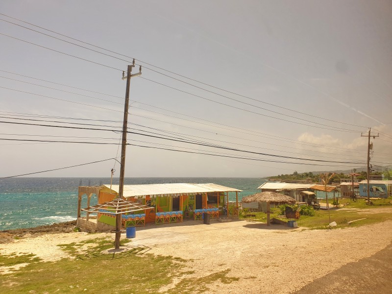 Вид из окна Желтого Автобуса