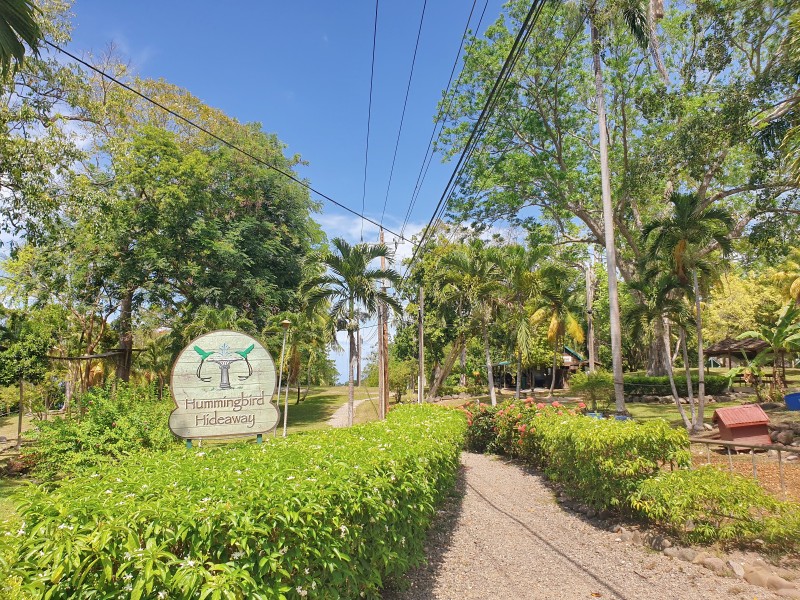 Hummingbird Hideaway