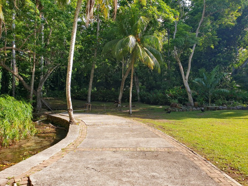 Индюшачий Гриф