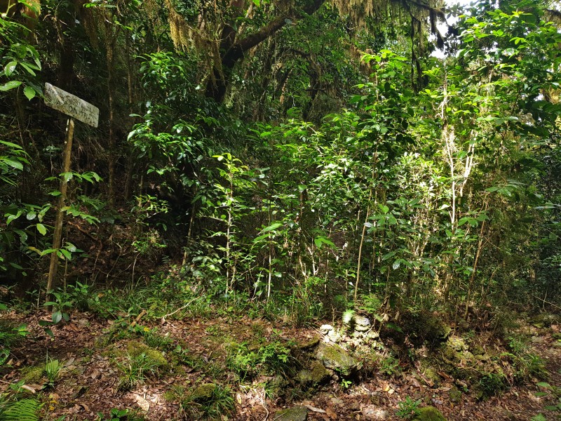 Не уходите с тропы