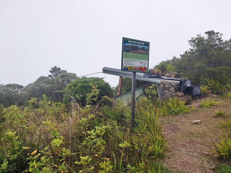 Новый Peak Shelter