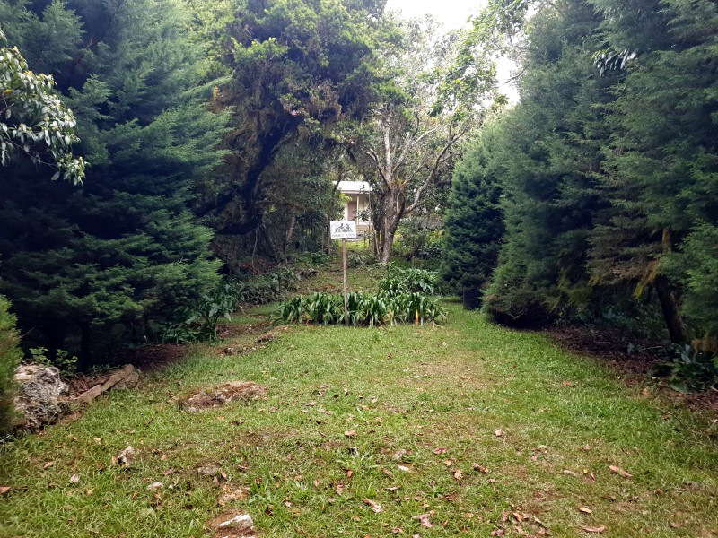 Место для пикников