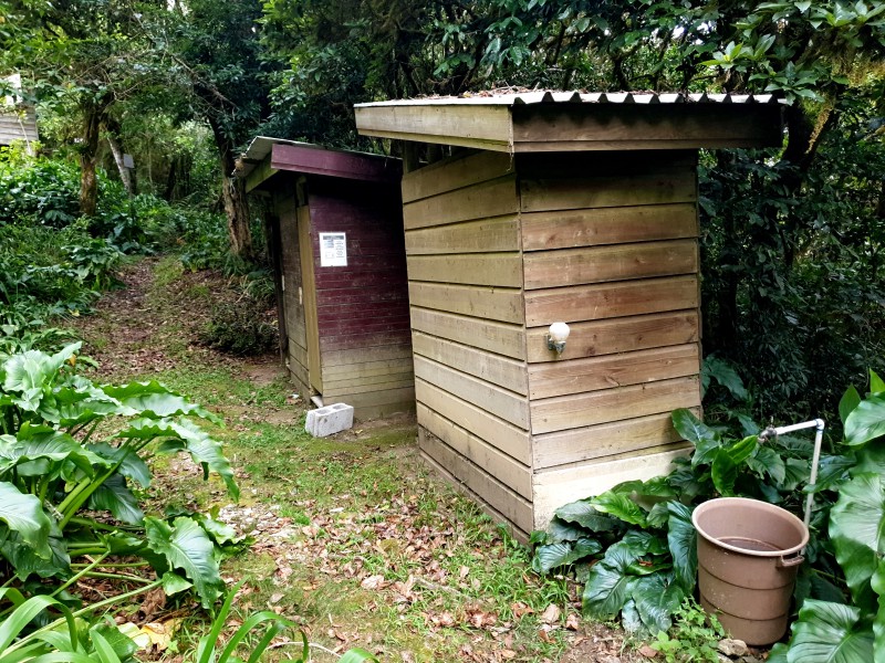 Туалет или душ