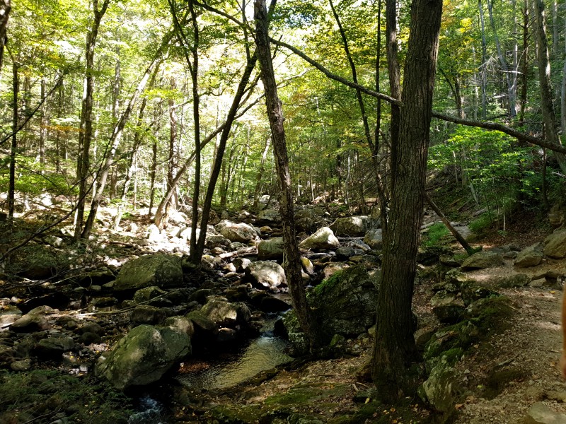 Тропа без людей
