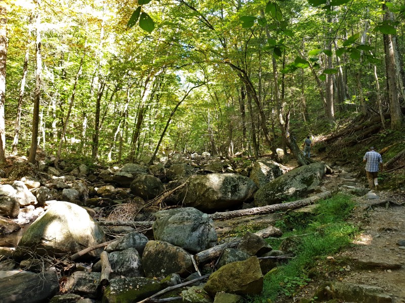 Тропа с людьми