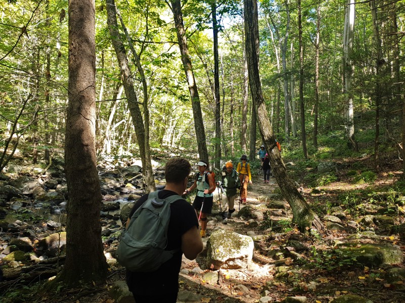 Туристы на тропе